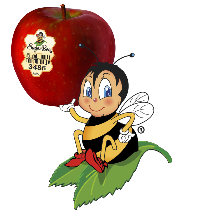 Sugar Bee Apples, Apples
